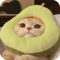 羞羞网站APPAPP应用